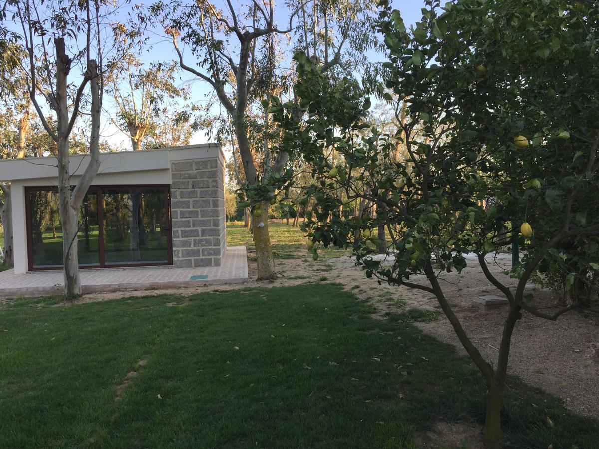Tenuta Monaci La Murra Carmiano  Kültér fotó